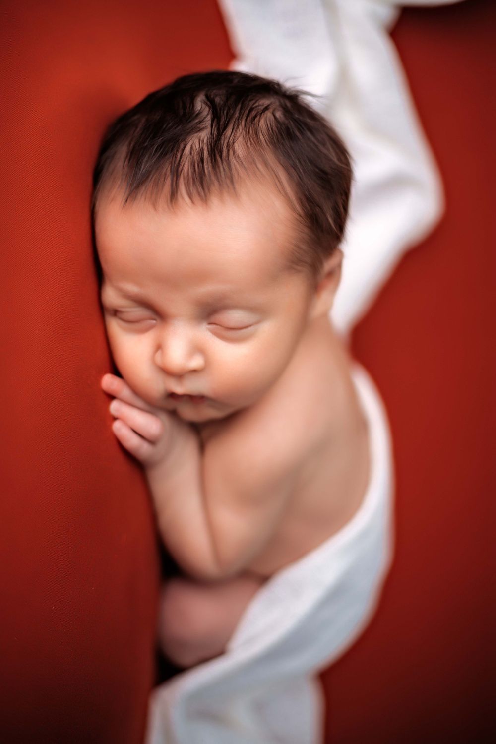 Knoxville Tennessee Newborn Photographer