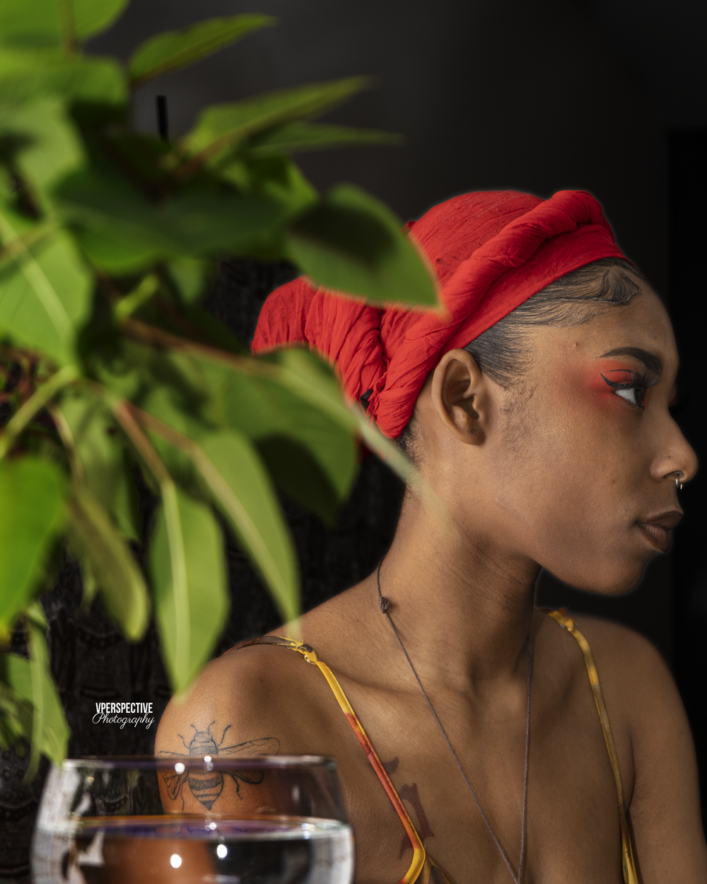 Artistic portrait of woman in red headwrap with dramatic lighting and plant in foreground.