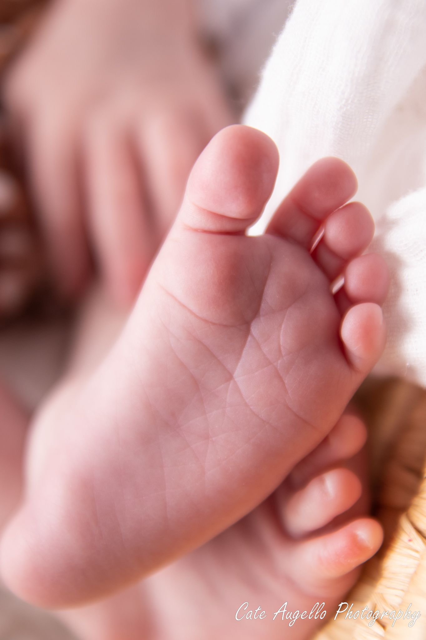 Newborn lifestyle photo of baby feet