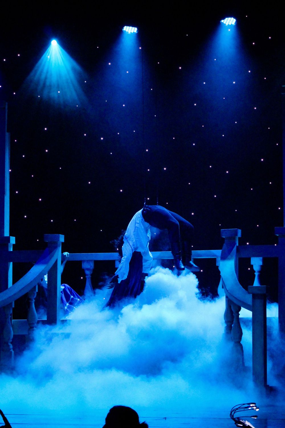 Theatre GiantLilyPad Photography