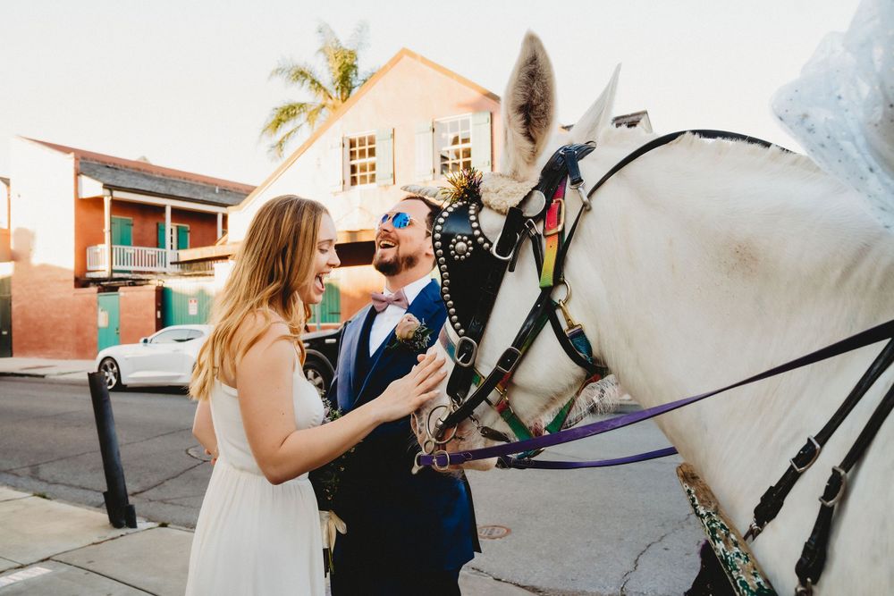 Bride and groom share excitement when petting a mule in the French Quarter.