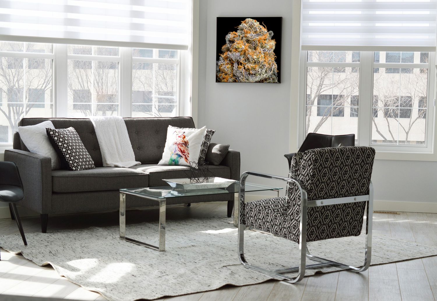 CannaPrints.ca - Mounted Wall Prints for Modern Living Spaces. Contemporary Cannabis Art