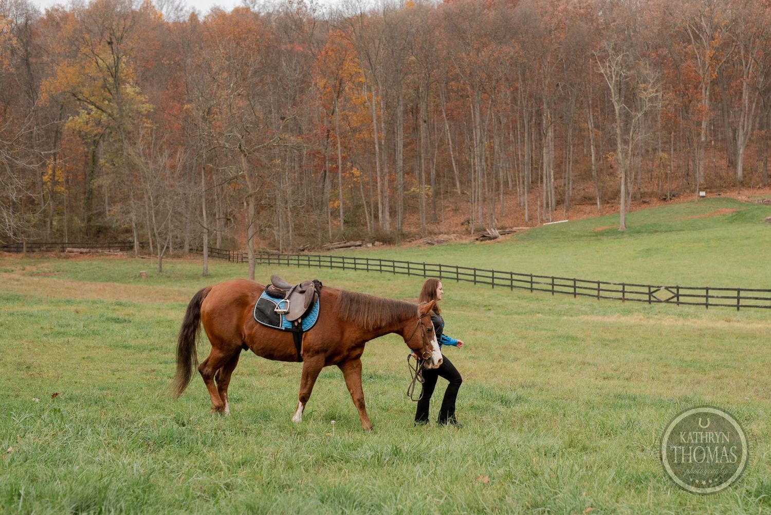 A saddled chestnut horse walks through an autumn field with wooden fencing and trees.