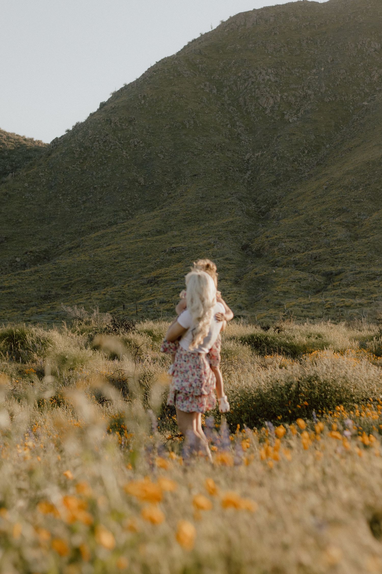 A floral meadow scene with yellow wildflowers against a green mountainous backdrop.