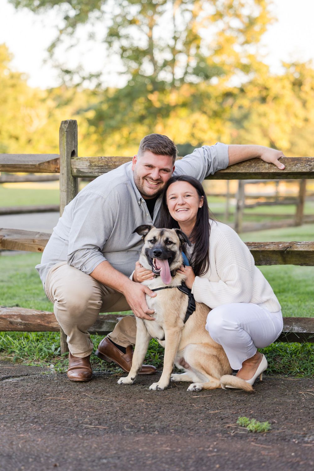 A couple relaxes with their dog on a rustic wooden fence during a golden hour photoshoot.