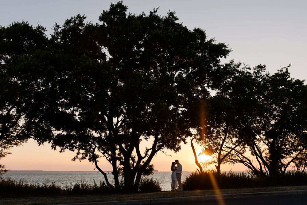 Silhouettes of trees against a sunset sky creating a dramatic natural backdrop.