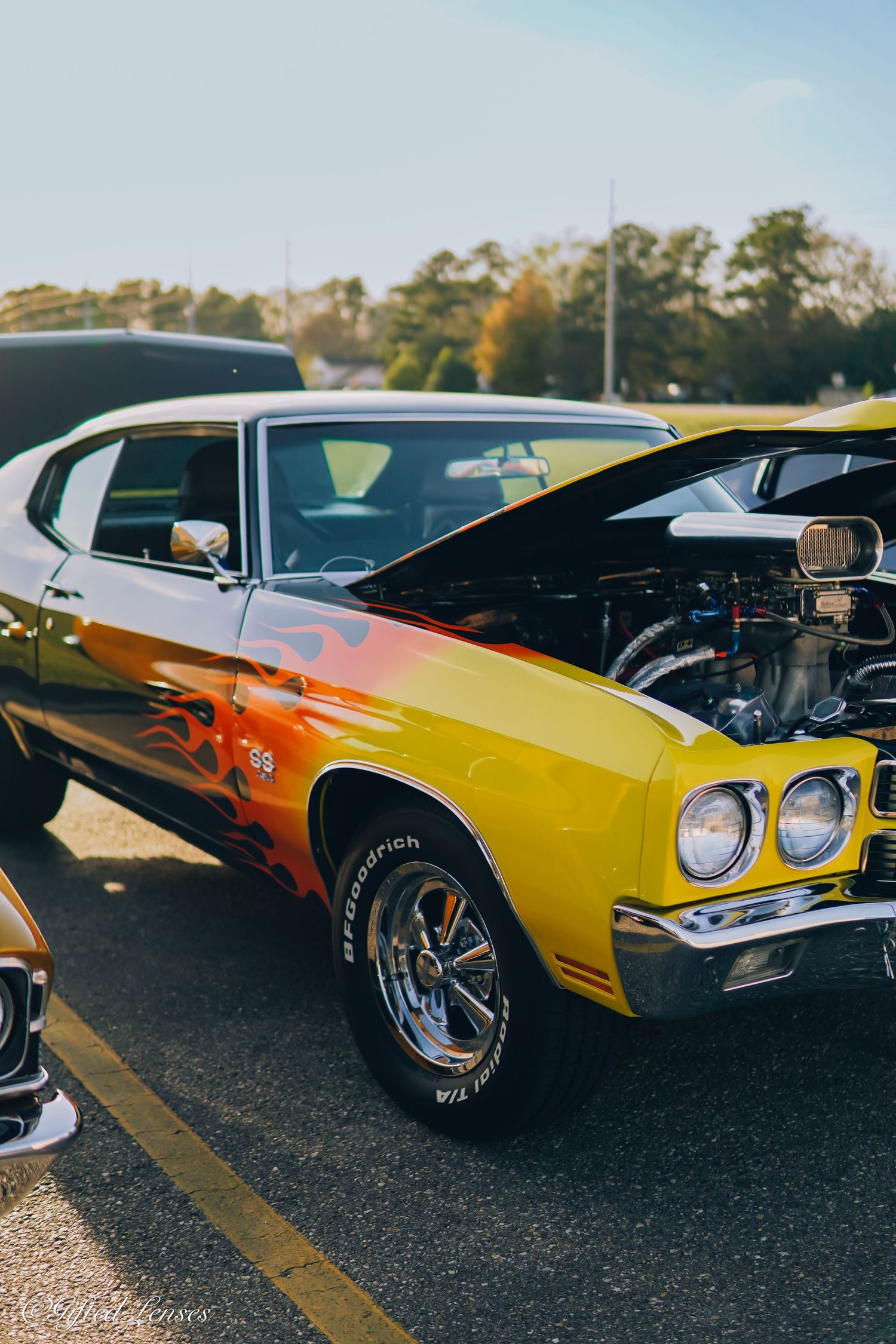 cars
