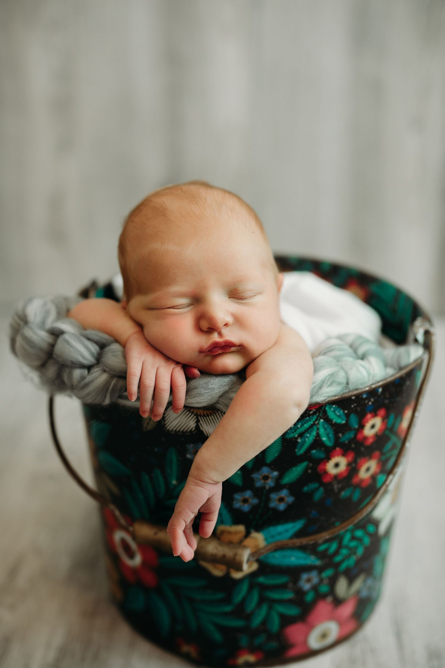 Lakeland Florida newborn photographer baby in a bucket