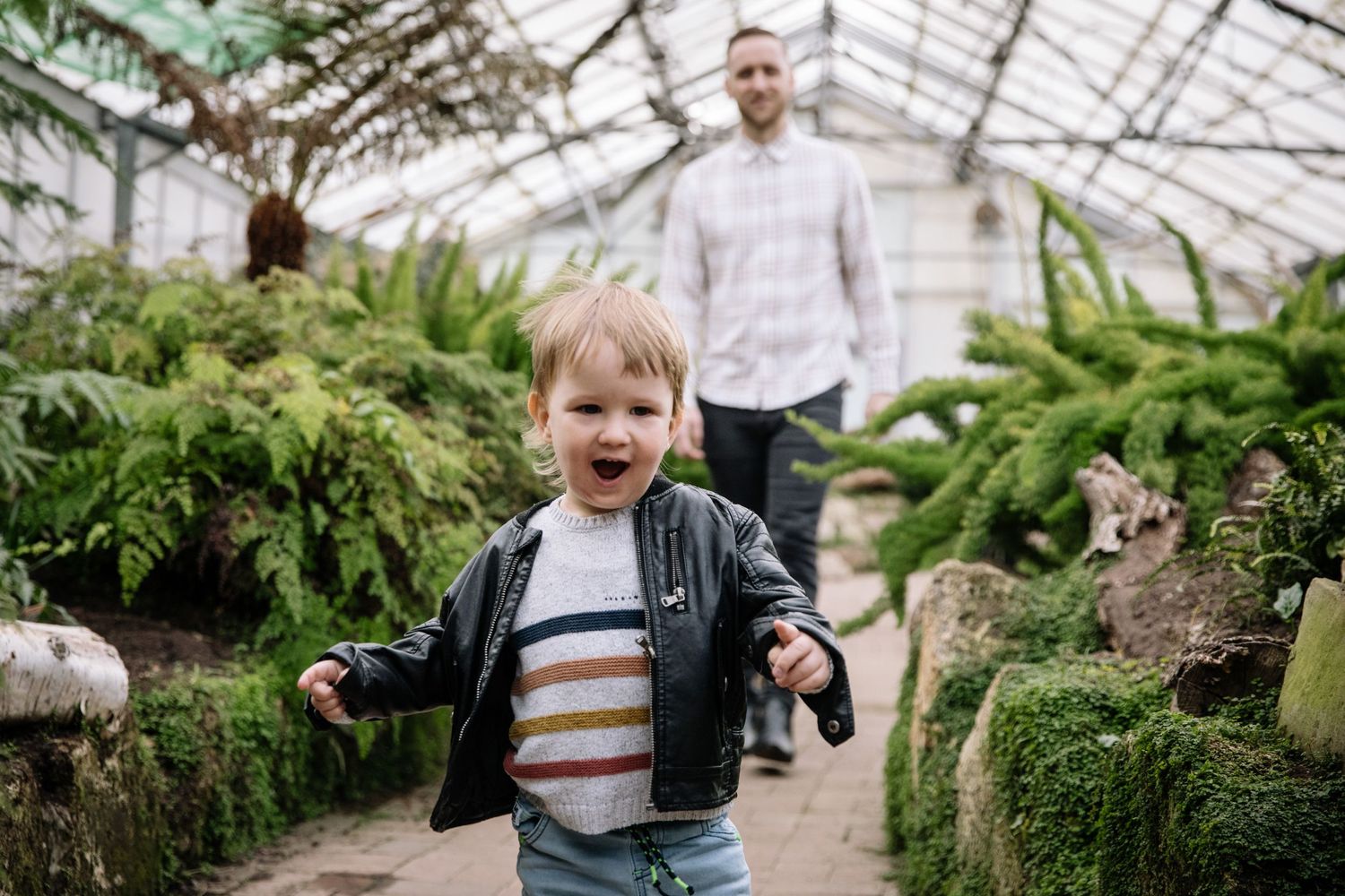 Young child exploring greenhouse path with dad following behind among ferns.