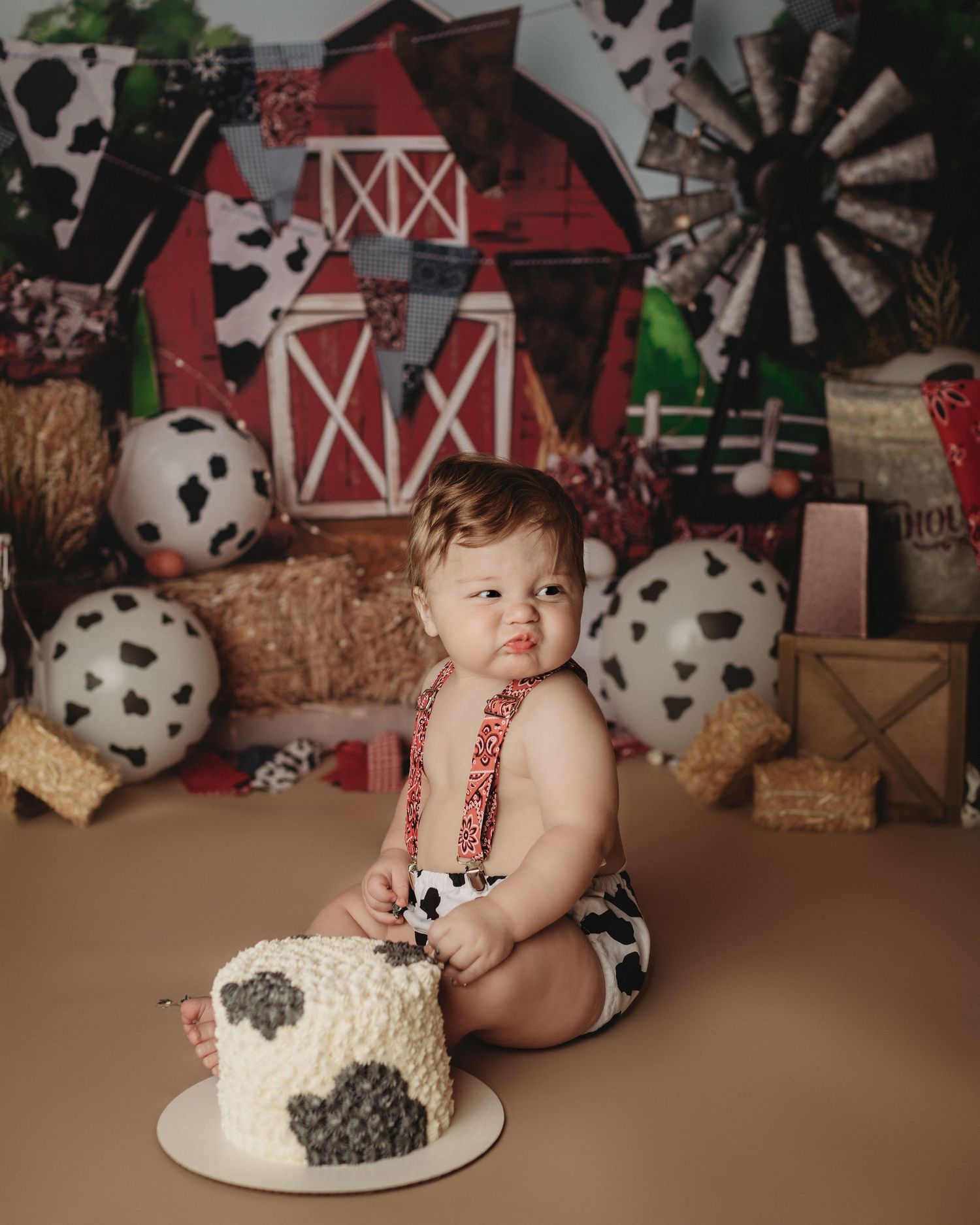 Maine cow-themed toddler cake smash professional photo shoot