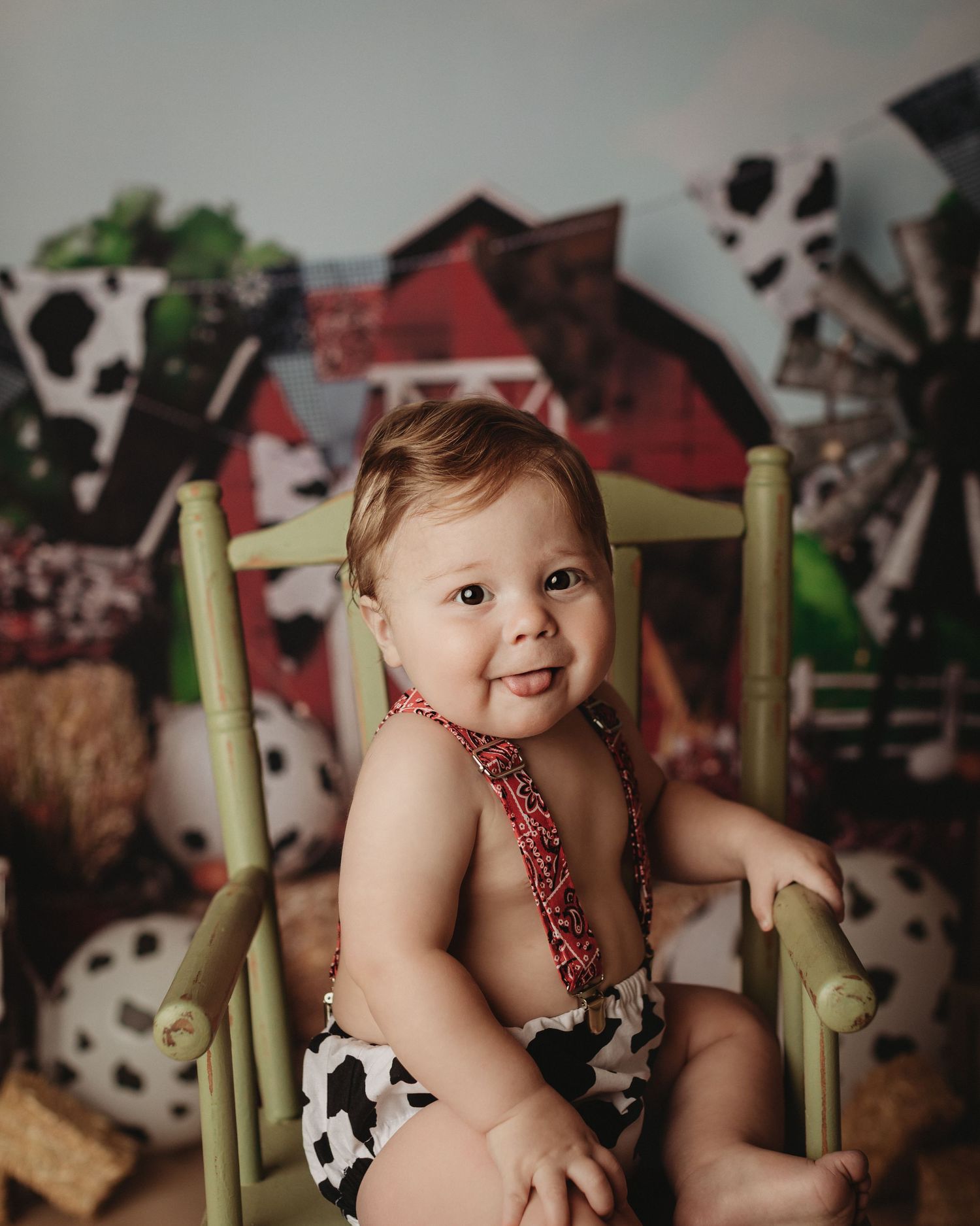 Maine cow-themed toddler cake smash professional photo shoot