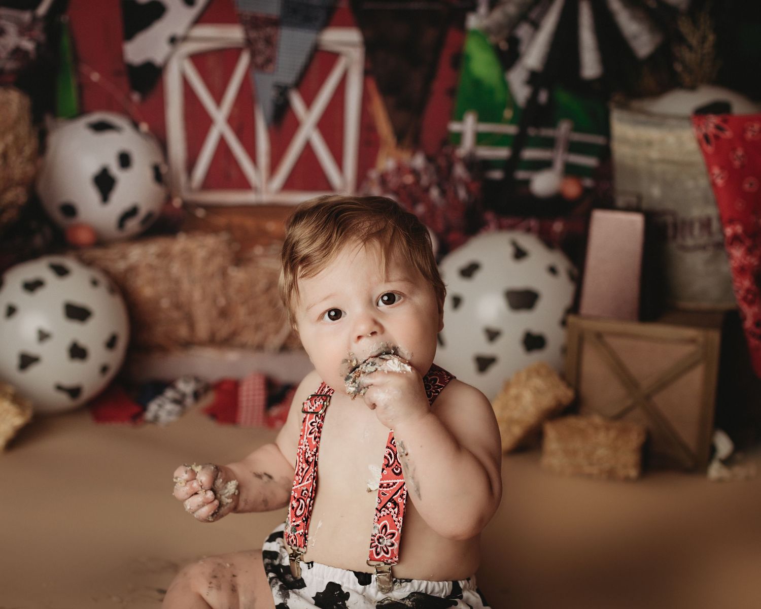 Maine cow-themed toddler cake smash professional photo shoot