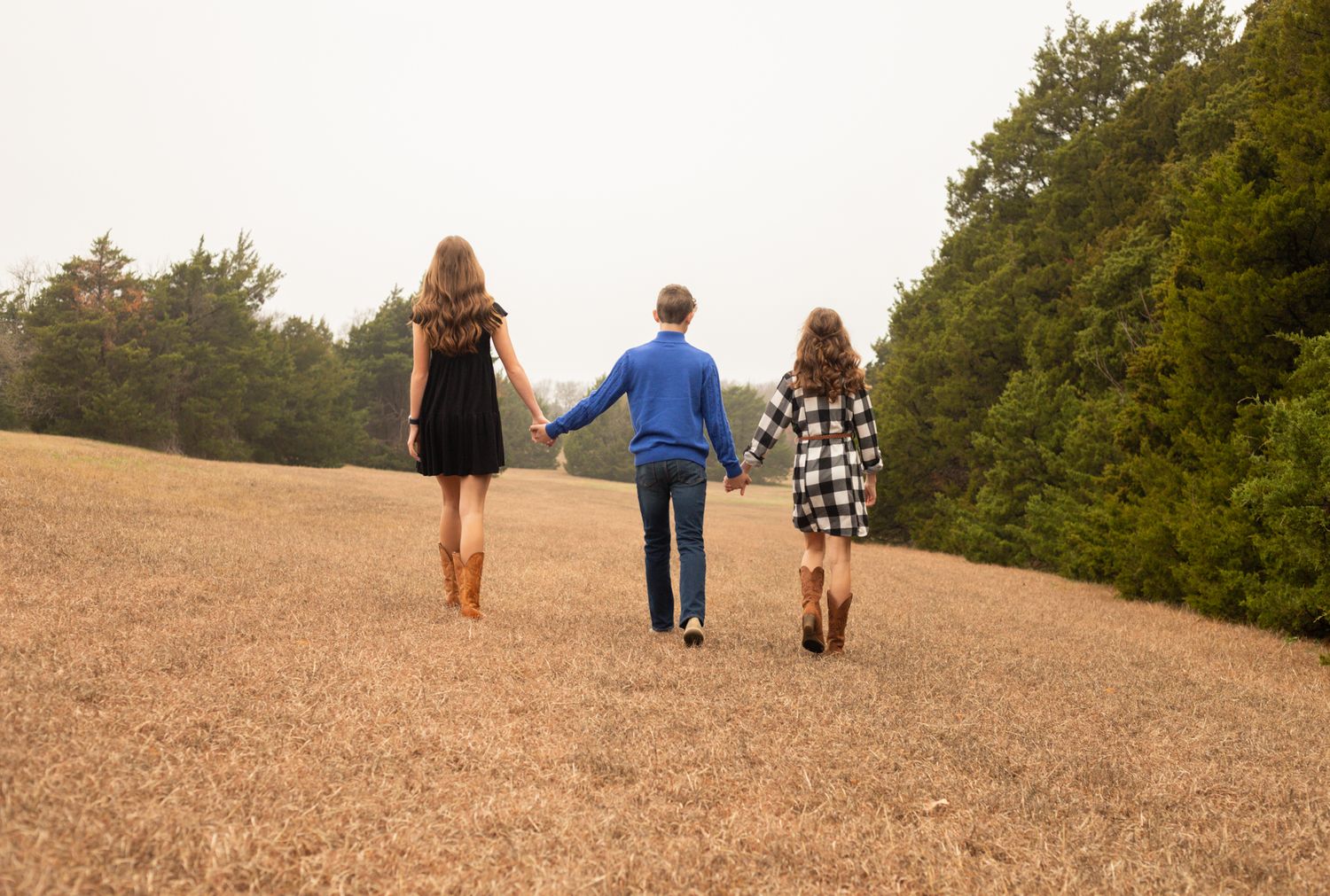 Three siblings walking hand in hand away from camera through a golden field lined with trees.