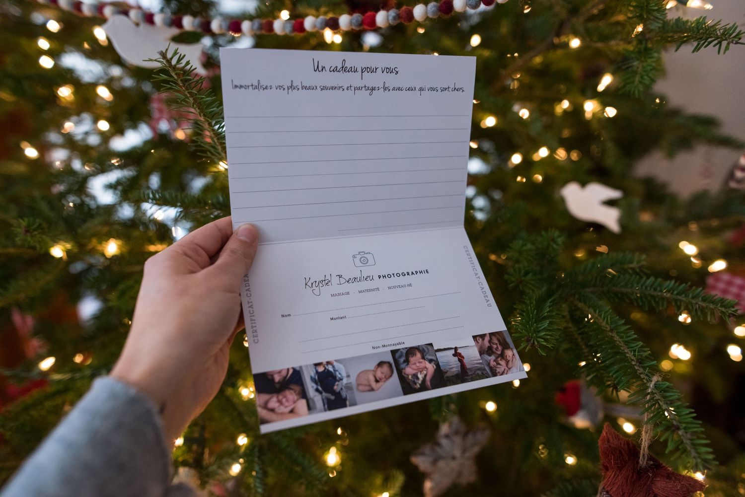 krystel_beaulieu_photographie_certificat_cadeau_gift_certificate-5