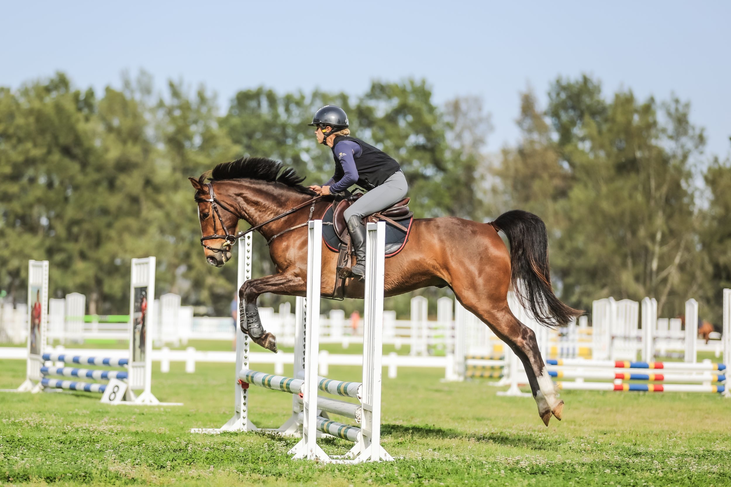 Equestrian photography.
