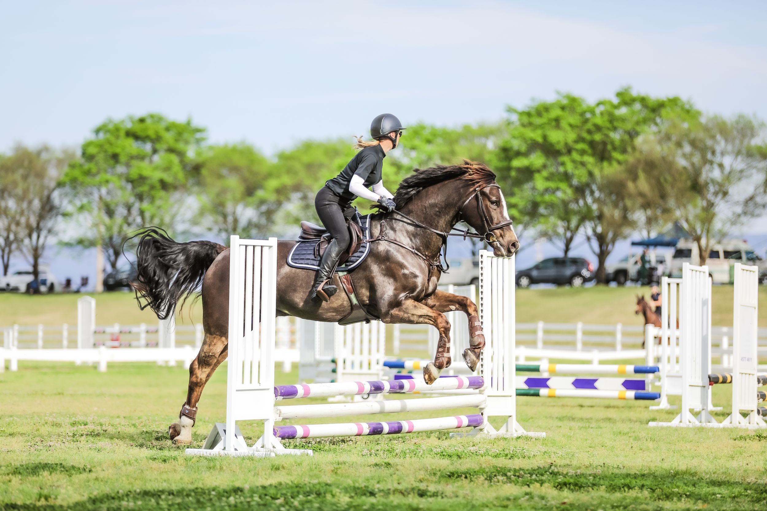 Equestrian photography.