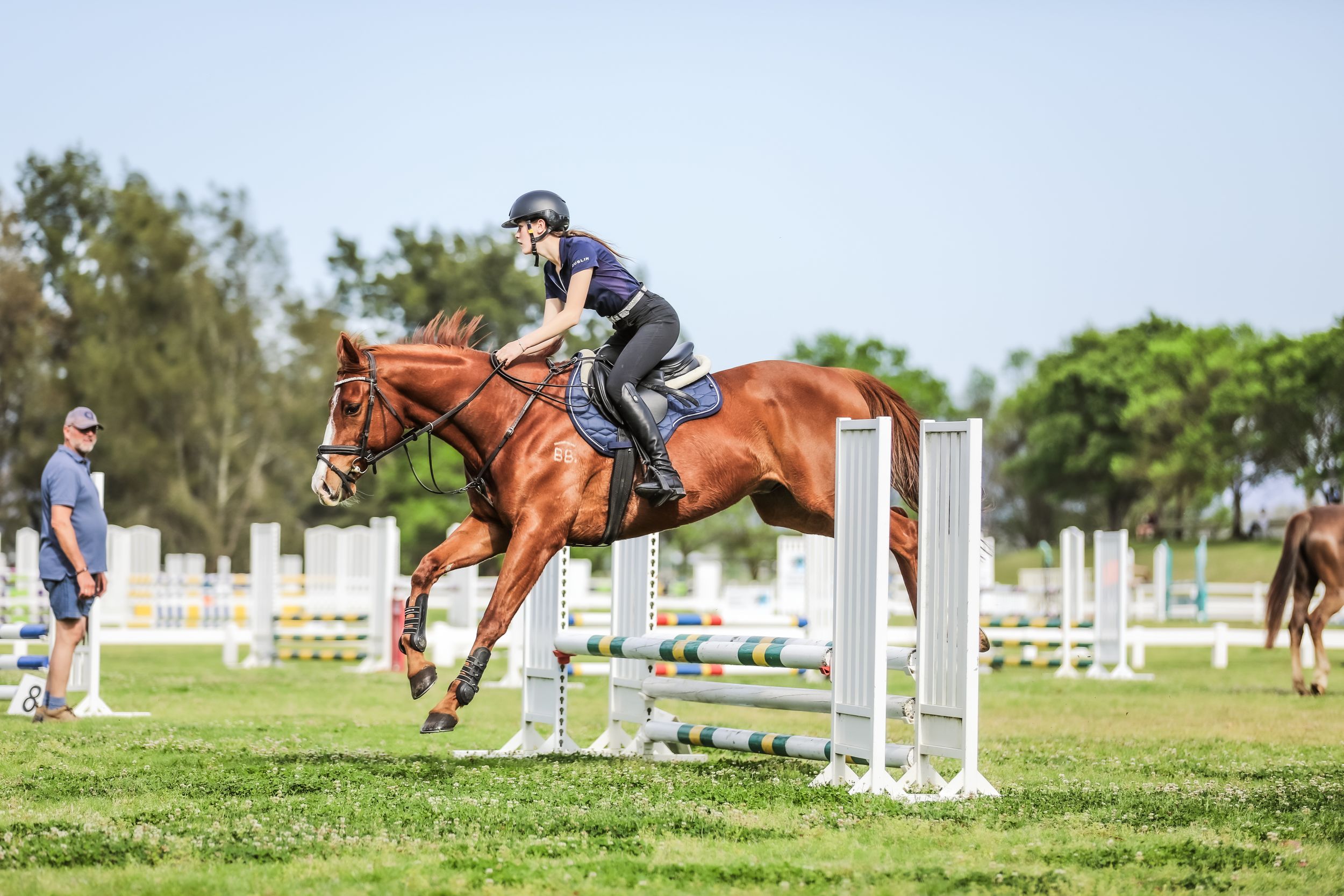Equestrian photography.