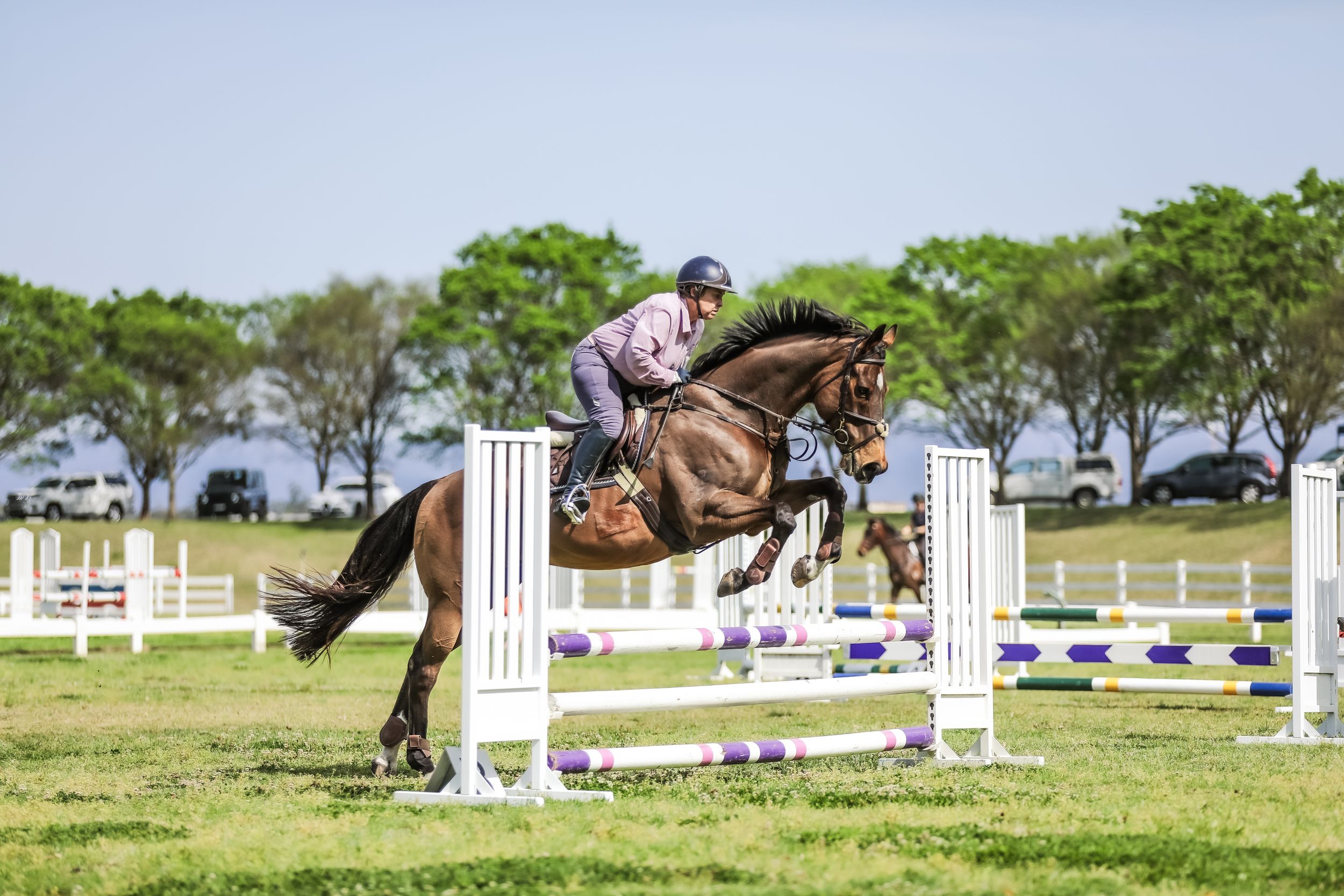 Equestrian photography.