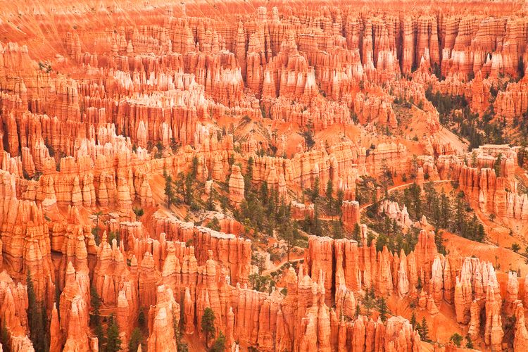 Hoodoos, Bryce Canyon National Park, Utah