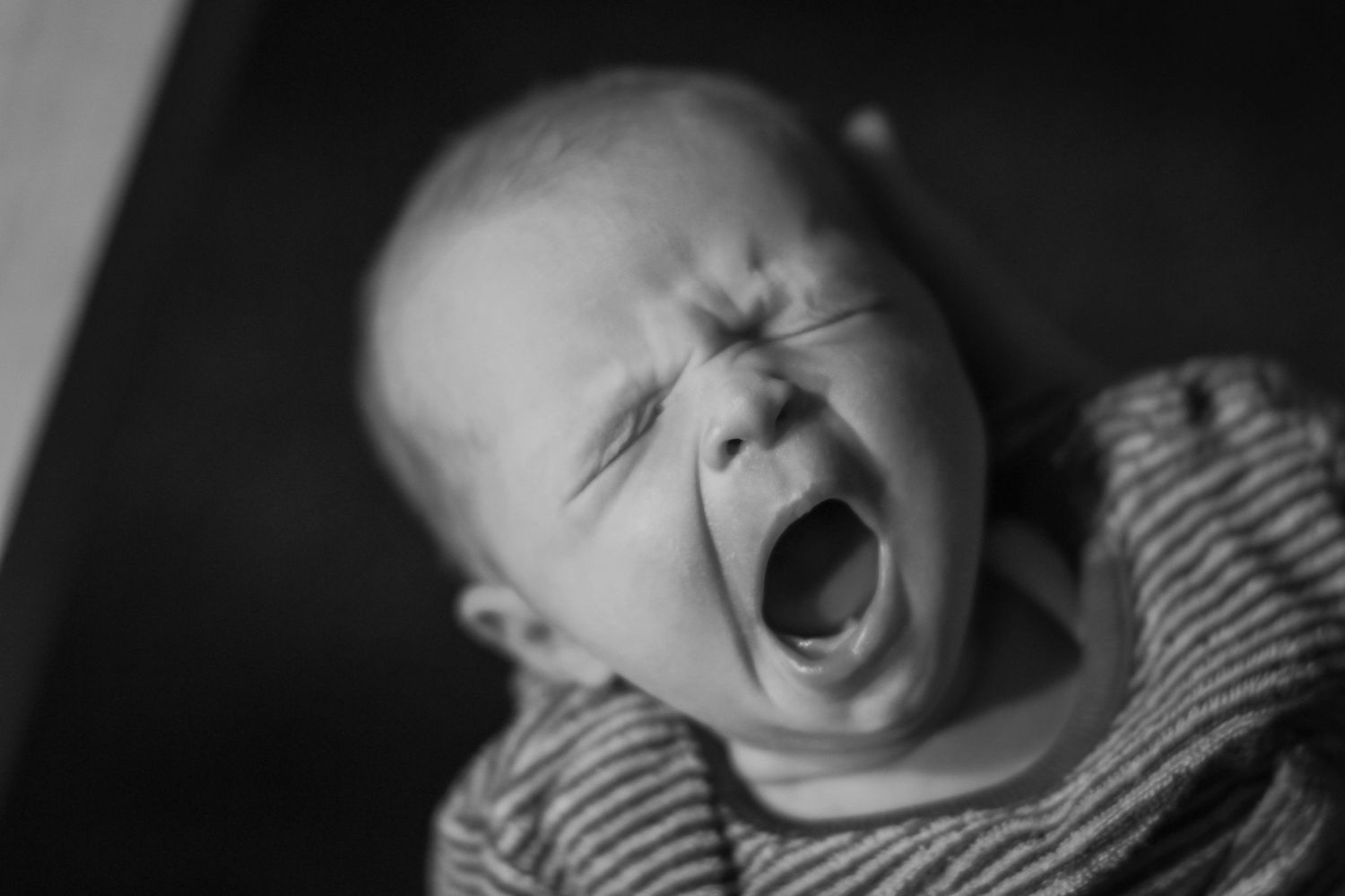 Babyfotograf Wien Korneuburg