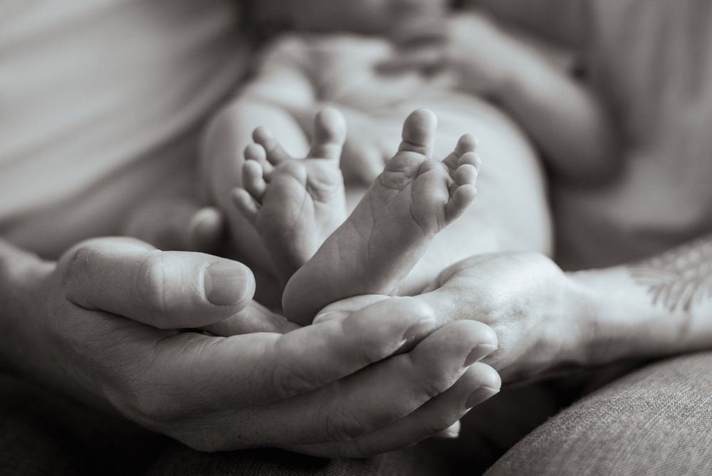 Newborn portrait photography session