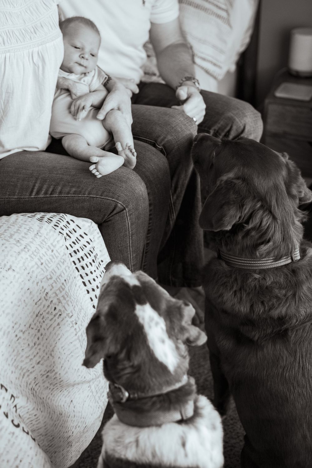 Newborn portrait photography session