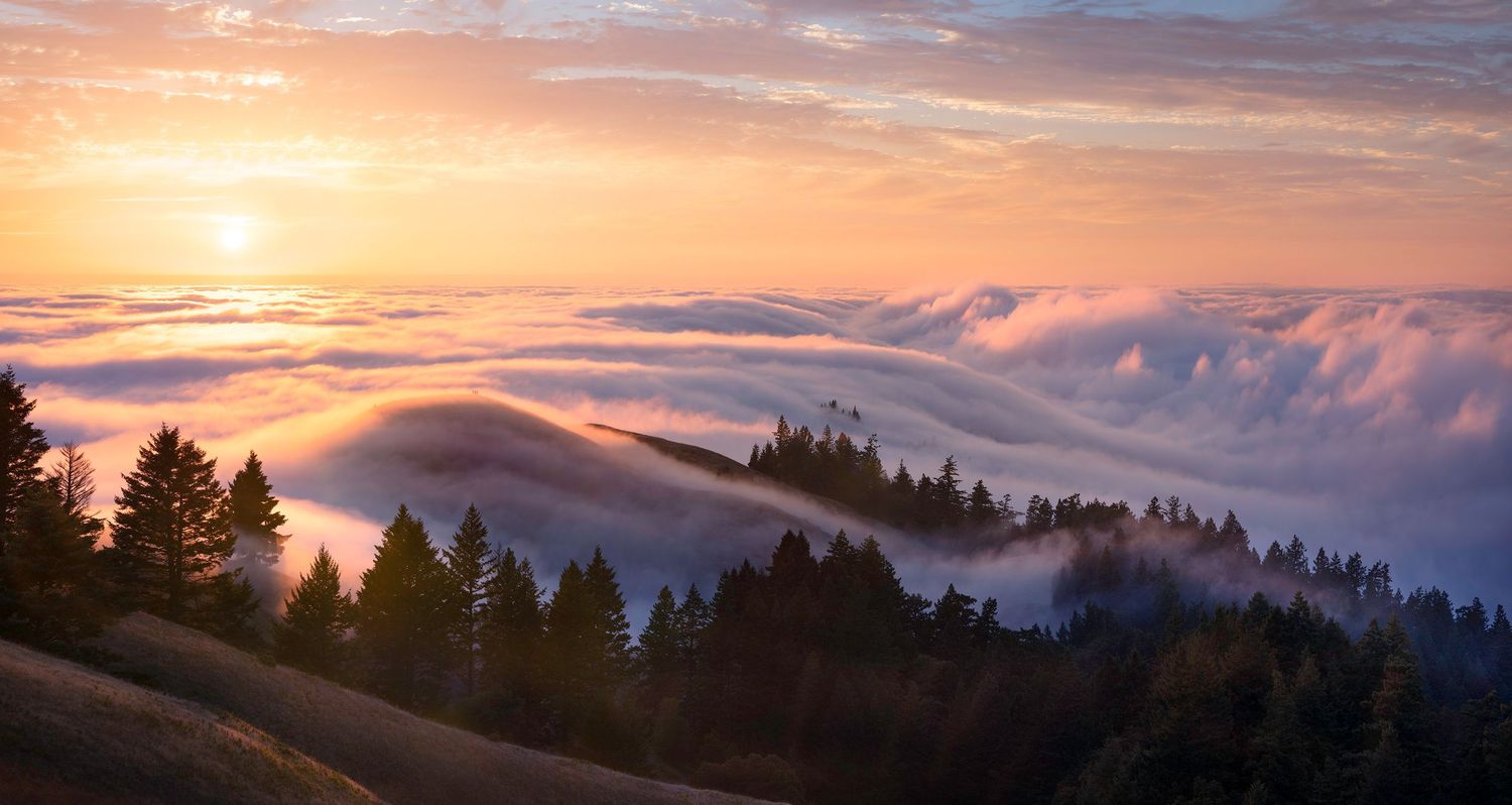 Rolling fog blankets mountain valleys at sunset with evergreen trees silhouetted against warm orange sky.
