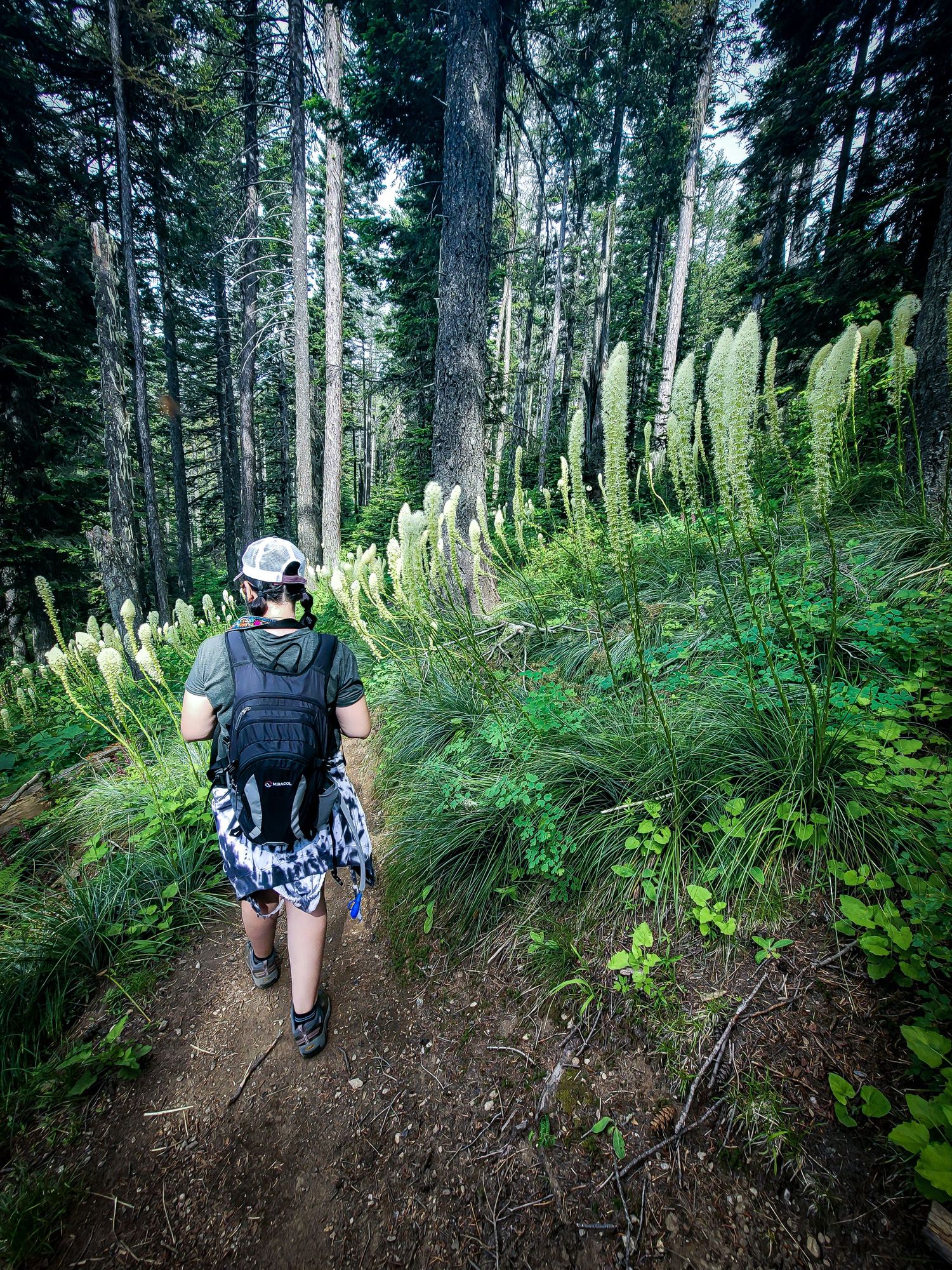 hiking on mt spokane