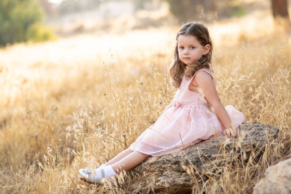 Professional photo of a little girl in a pink dress sitting on a rock in a yellow field