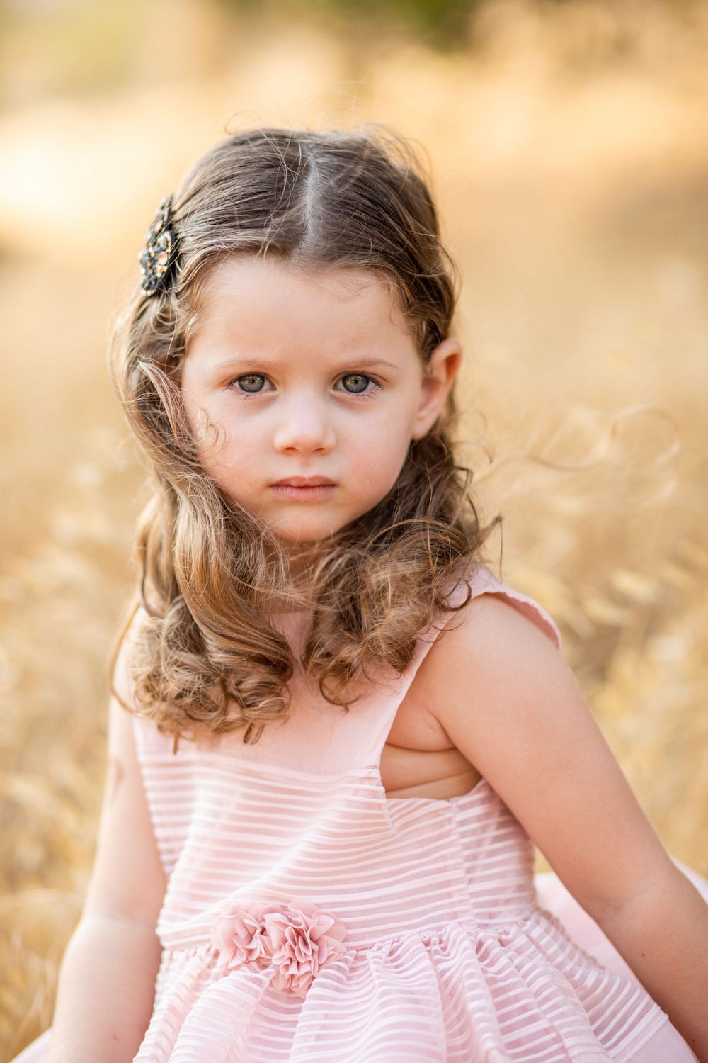 Professional Portrait image of a little girl in a pink dress sitting on a rock in a yellow field