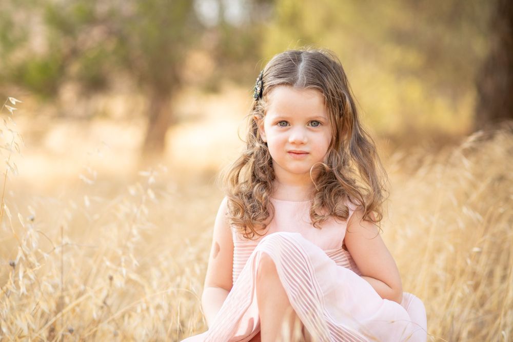 Professional photo of a little girl in a pink dress sitting on a rock in a yellow field