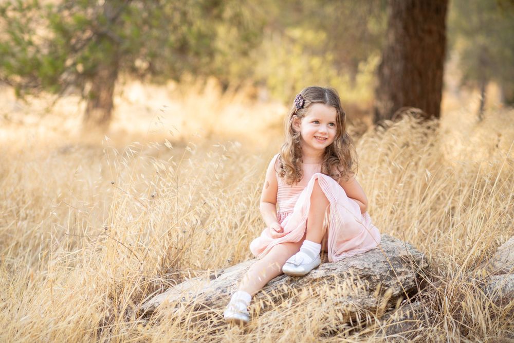 Professional photo of a little girl in a pink dress sitting on a rock in a yellow field