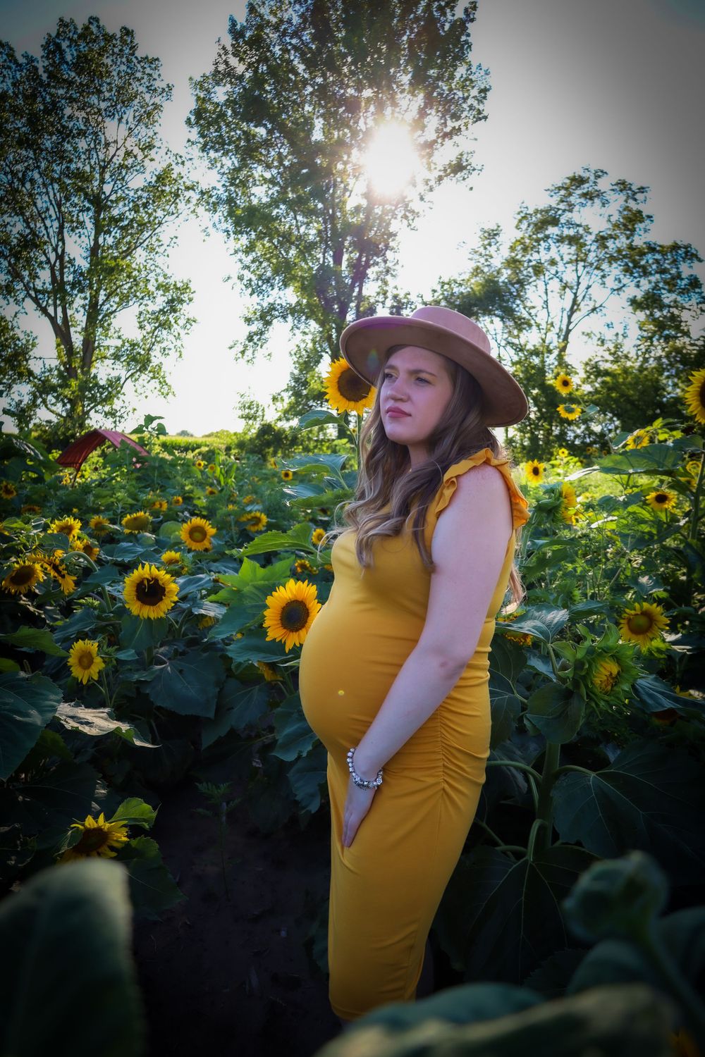 A maternity portrait in a yellow dress amid a sunflower field at sunset.