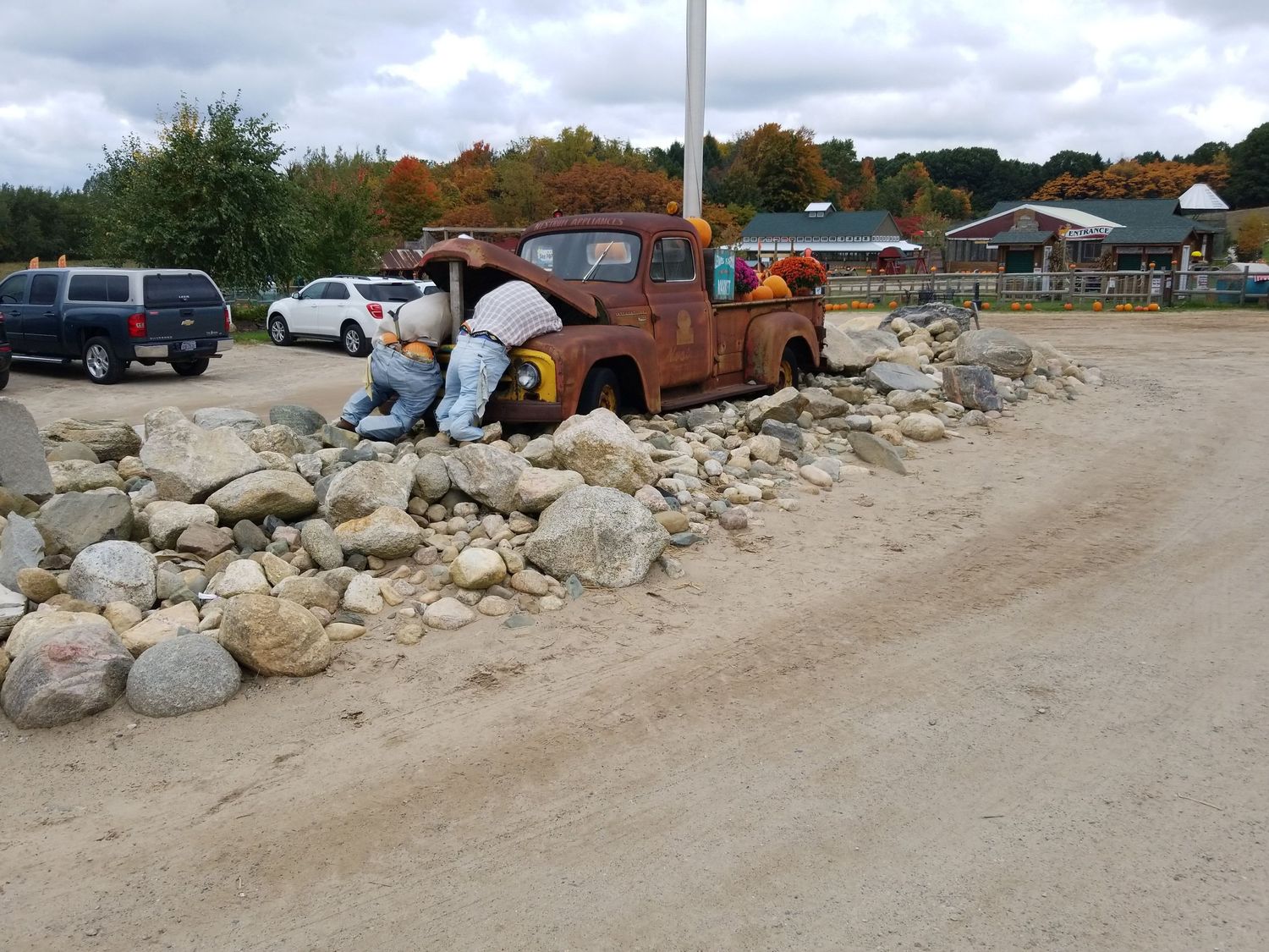 Lewis Farms