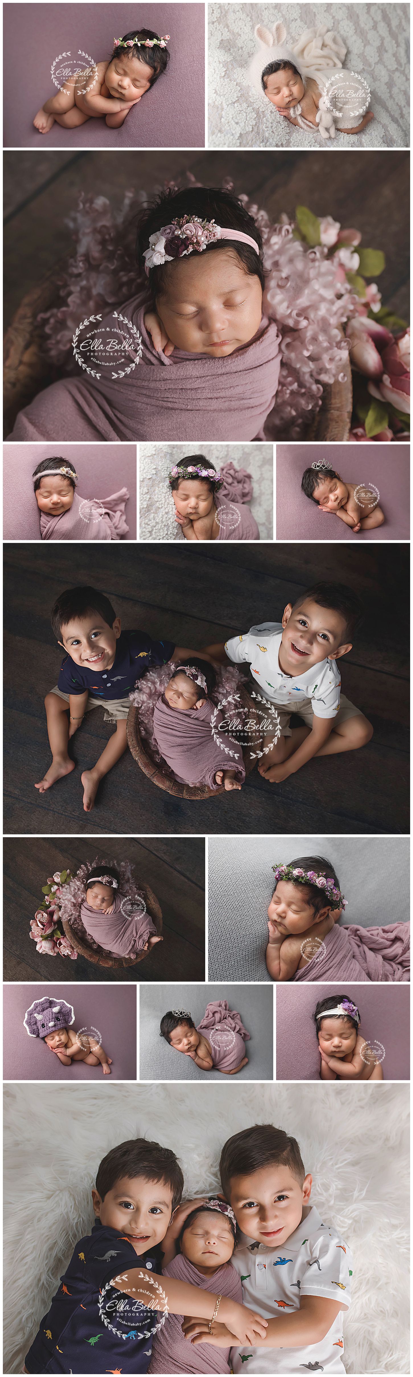 Professional newborn and sibling photo collection with purple floral accents.