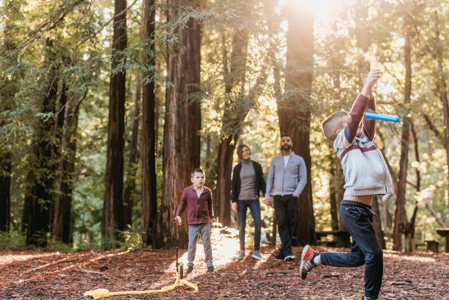 A group enjoying outdoor activities among towering redwood trees.