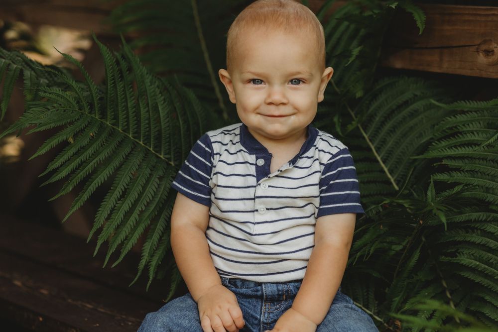 Young child in striped shirt sits among green ferns and foliage.