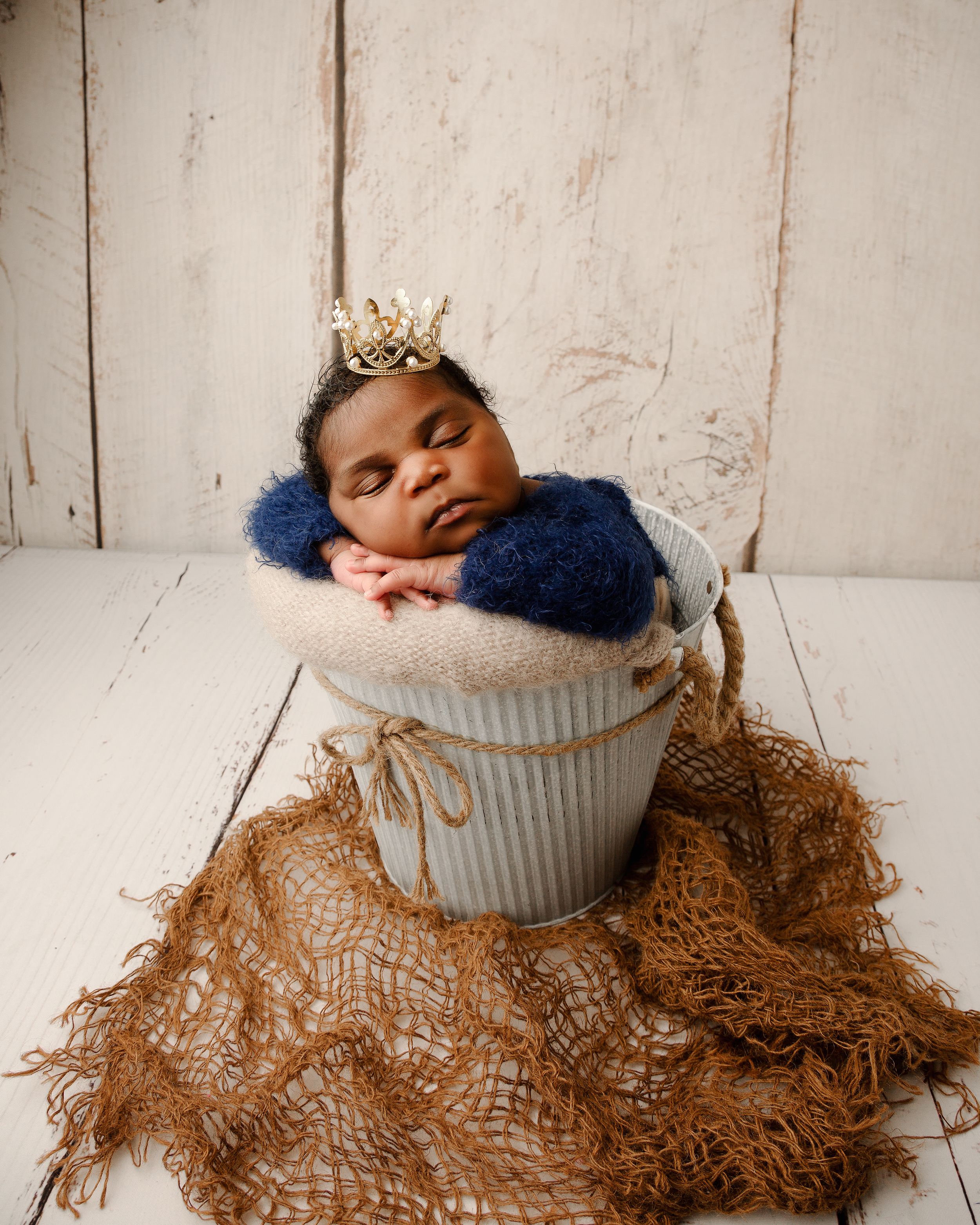 epping newborn photographer