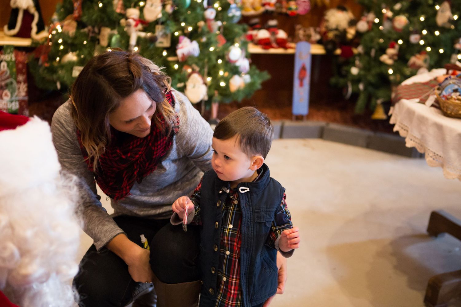 Country Pines Christmas Tree Farm