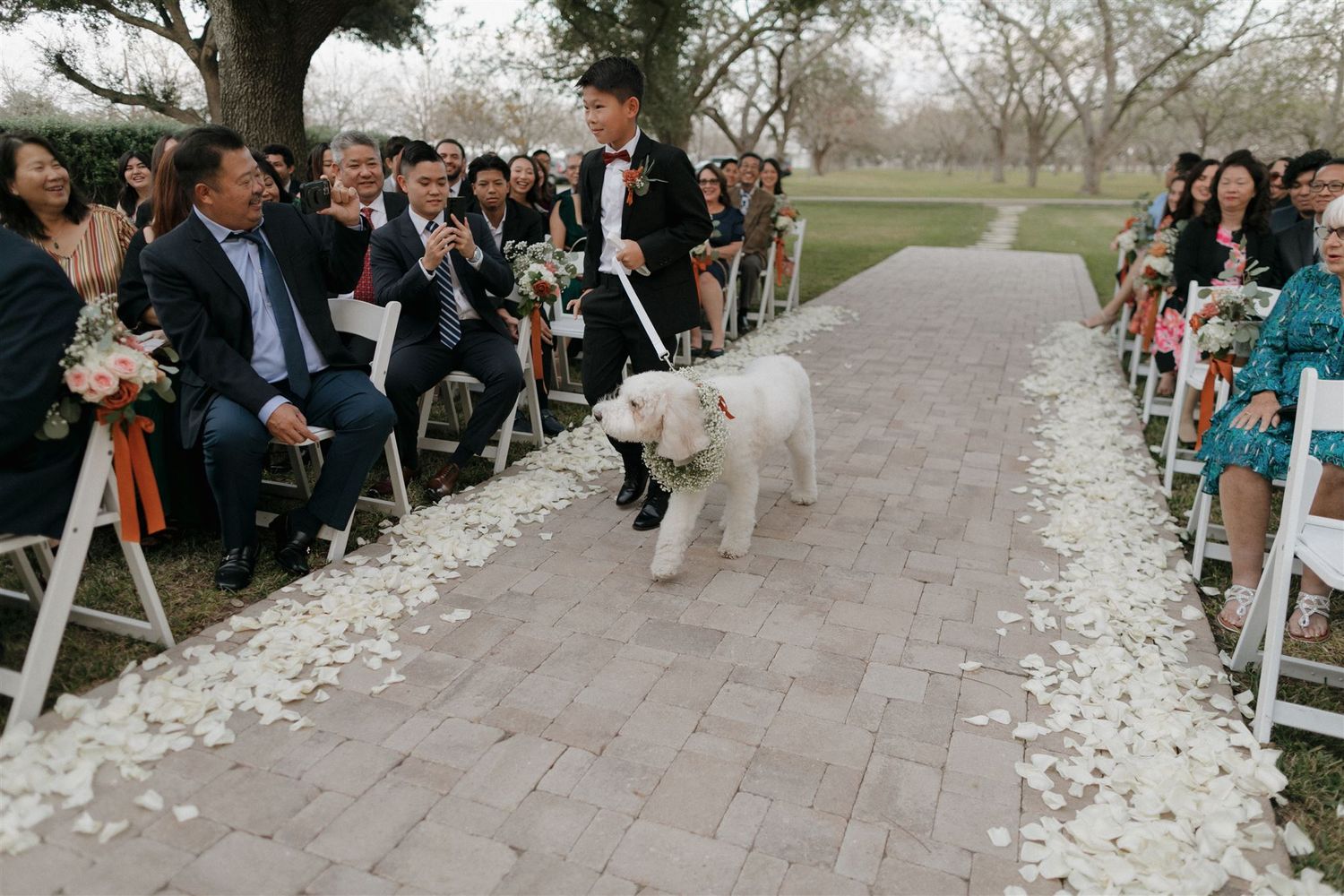 A fluffy white dog leads the way down a petal-strewn aisle at an outdoor wedding.