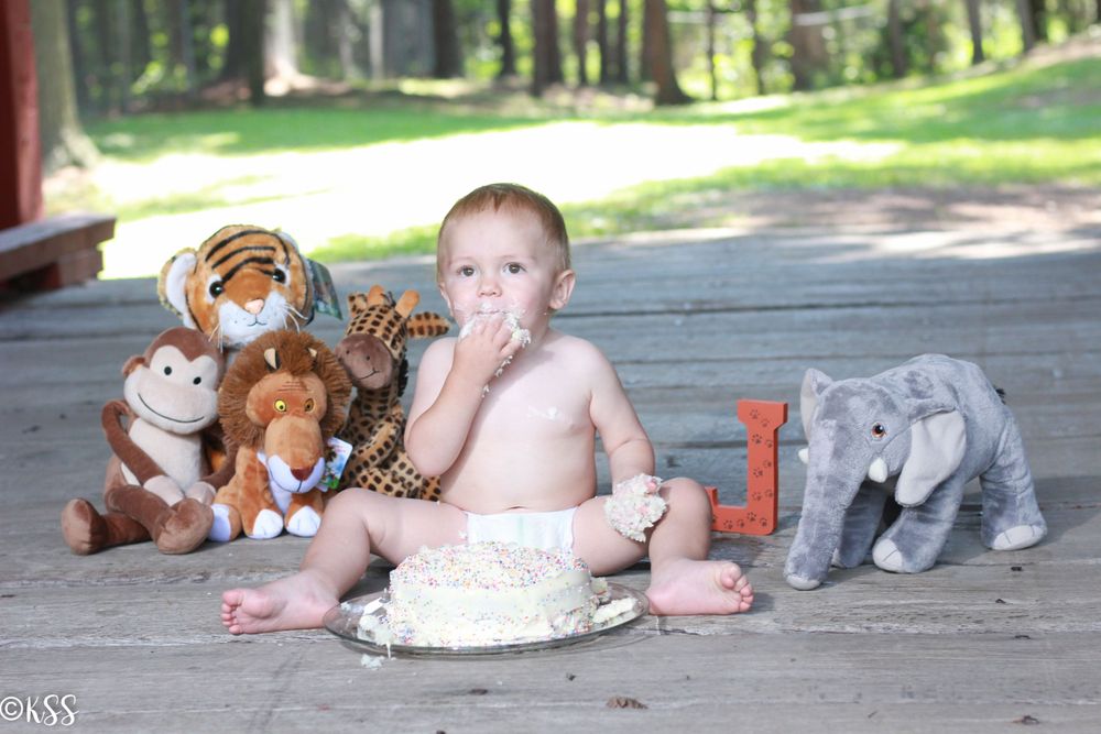 baby boy with animals smash cake