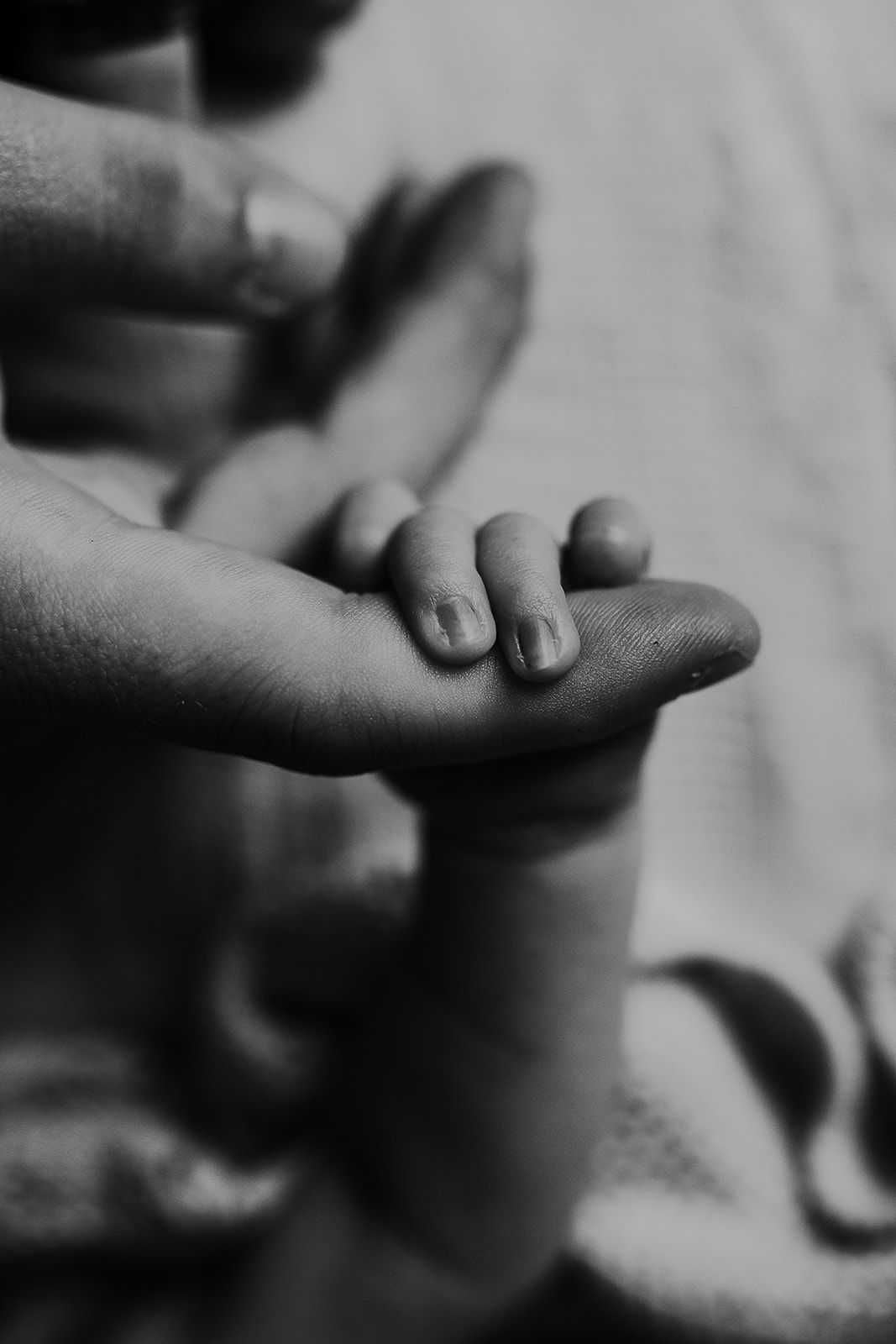 A newborn baby grasps his fathers finger.