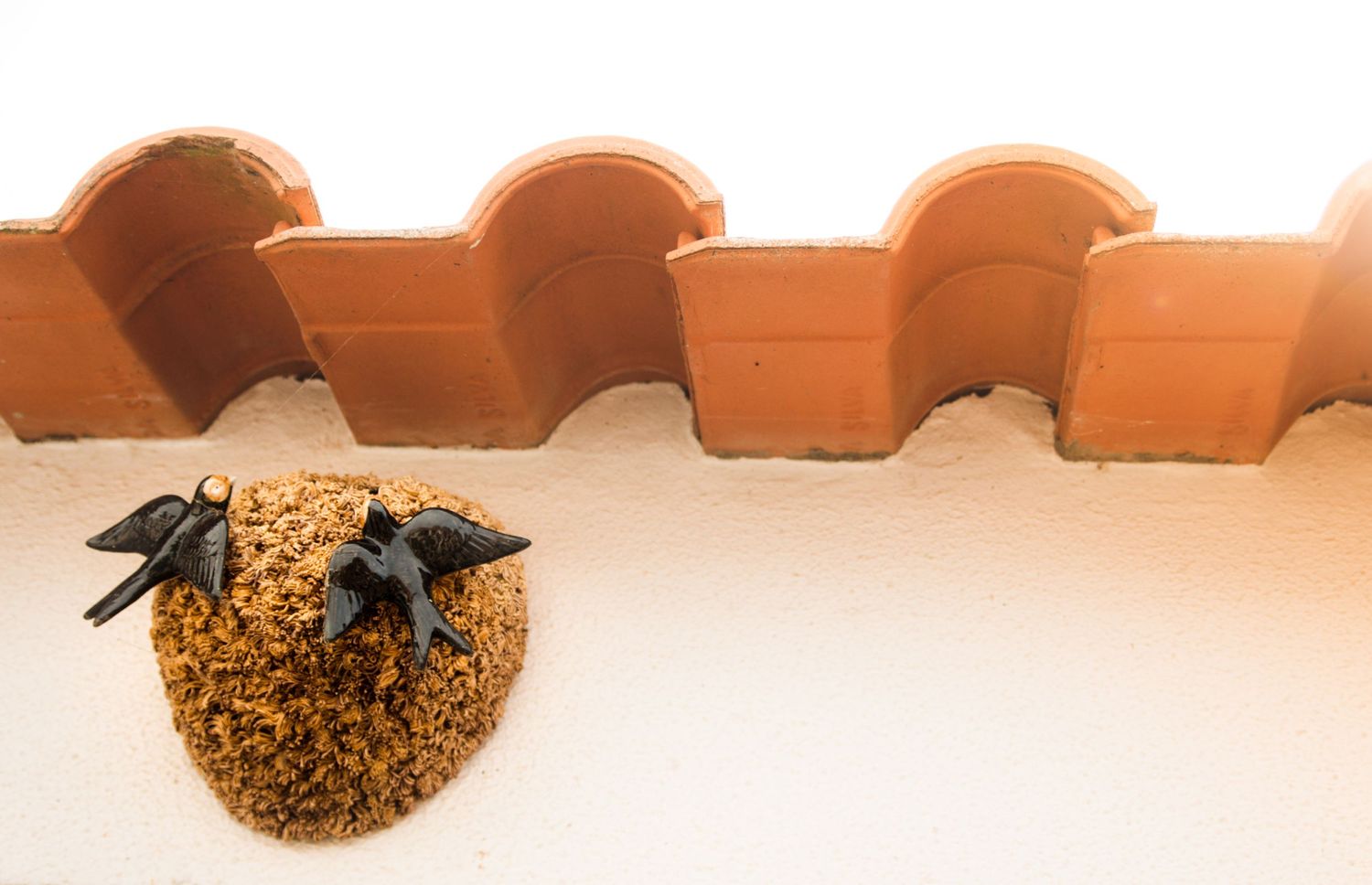 Terracotta roof tiles casting shadows in warm sunset lighting.