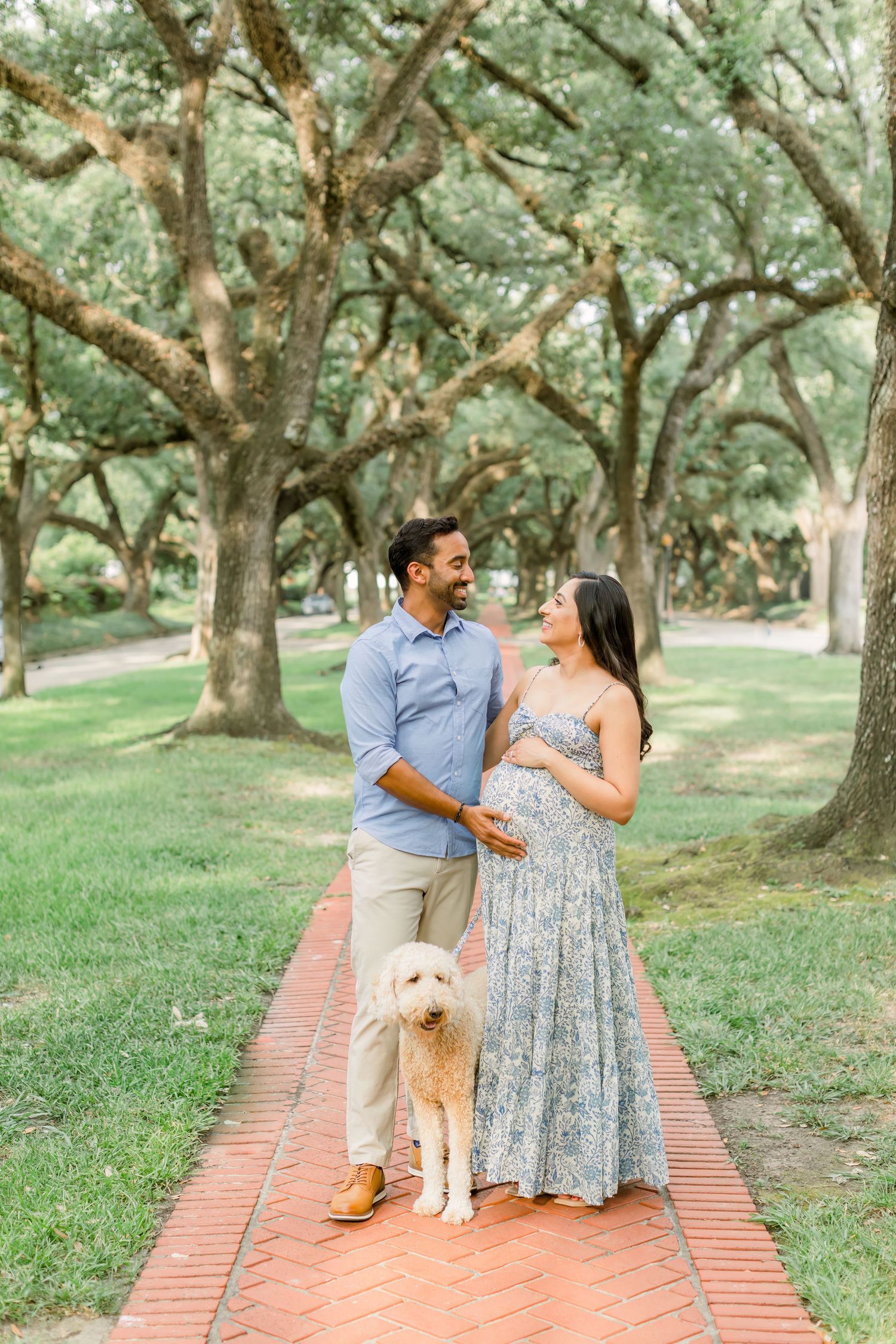 Expecting couple walks with white dog on brick path under canopy of oak trees.