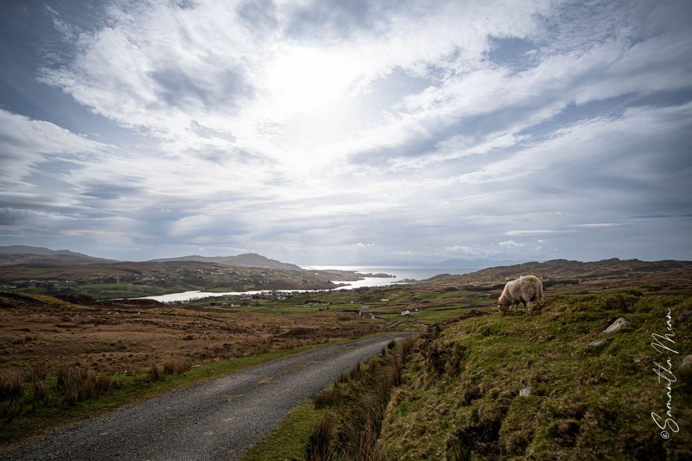 Donegal