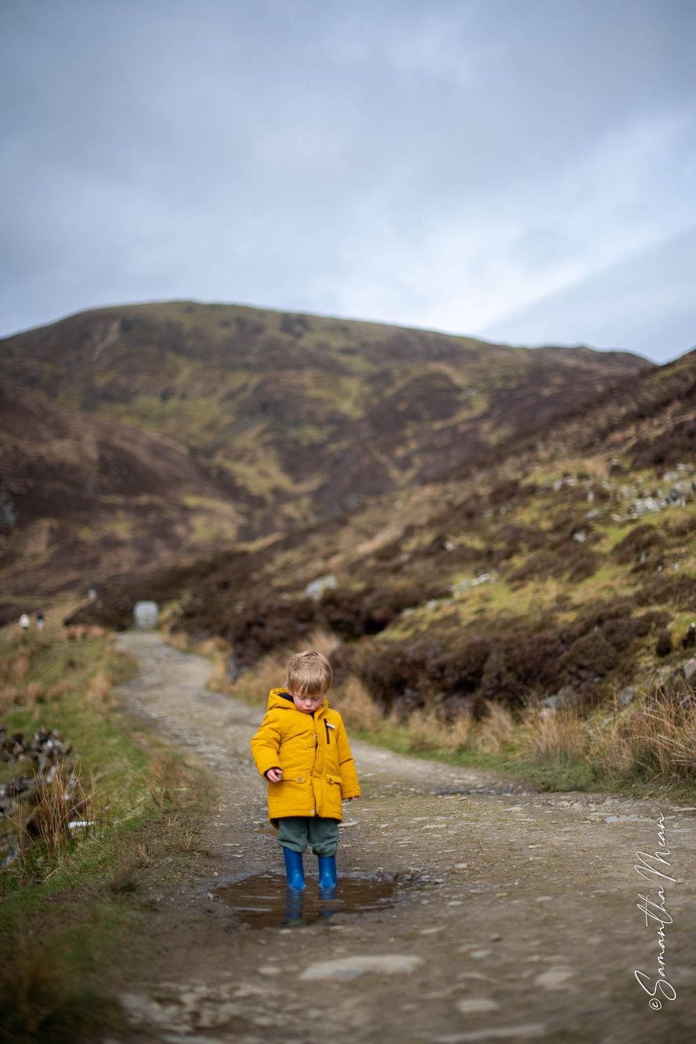 Donegal