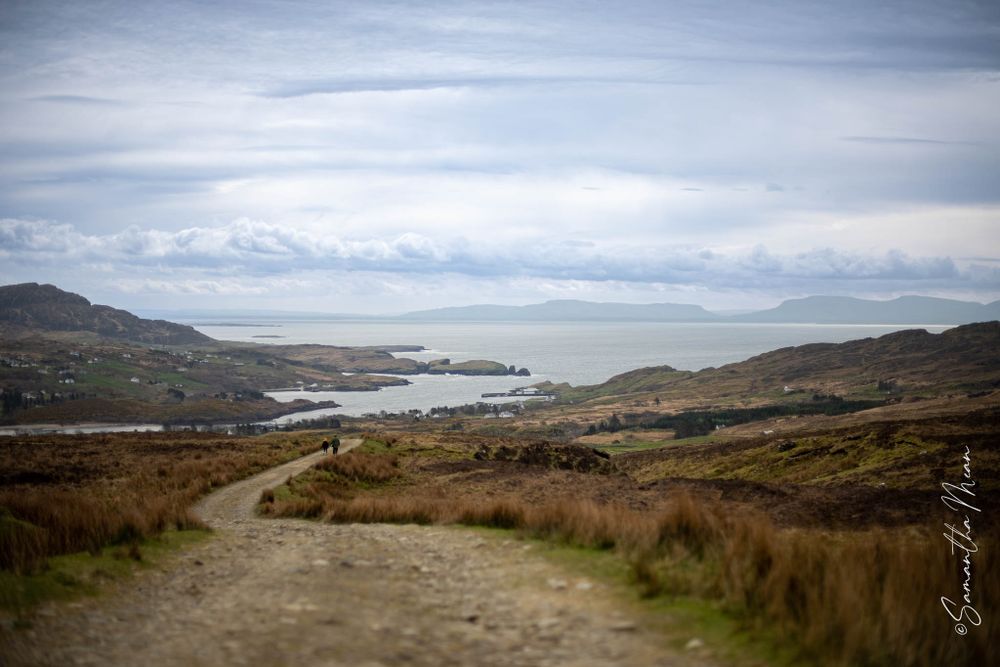 Donegal