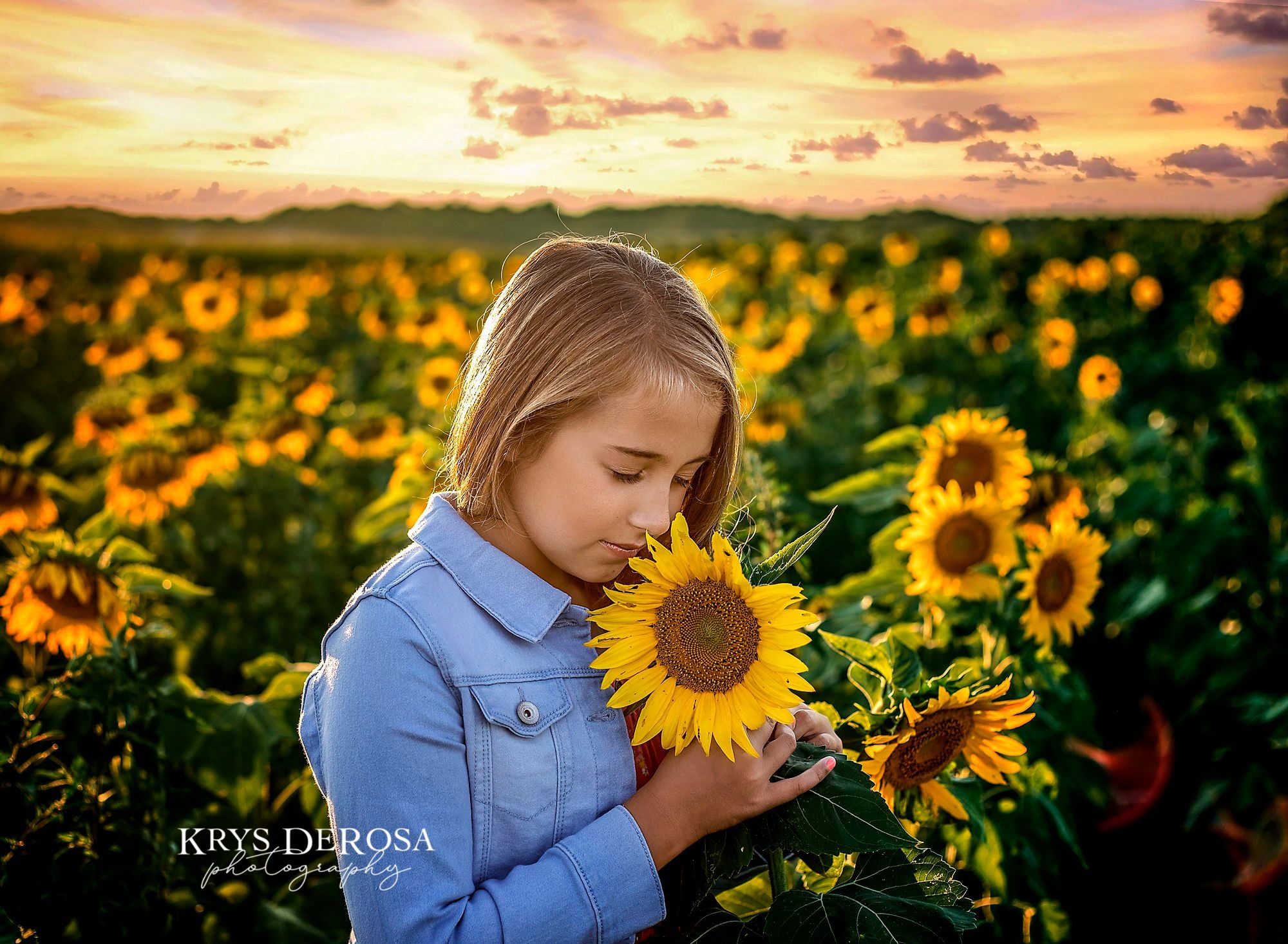 What Are The Best Colors To Wear To A Sunflower Field Krys DeRosa 