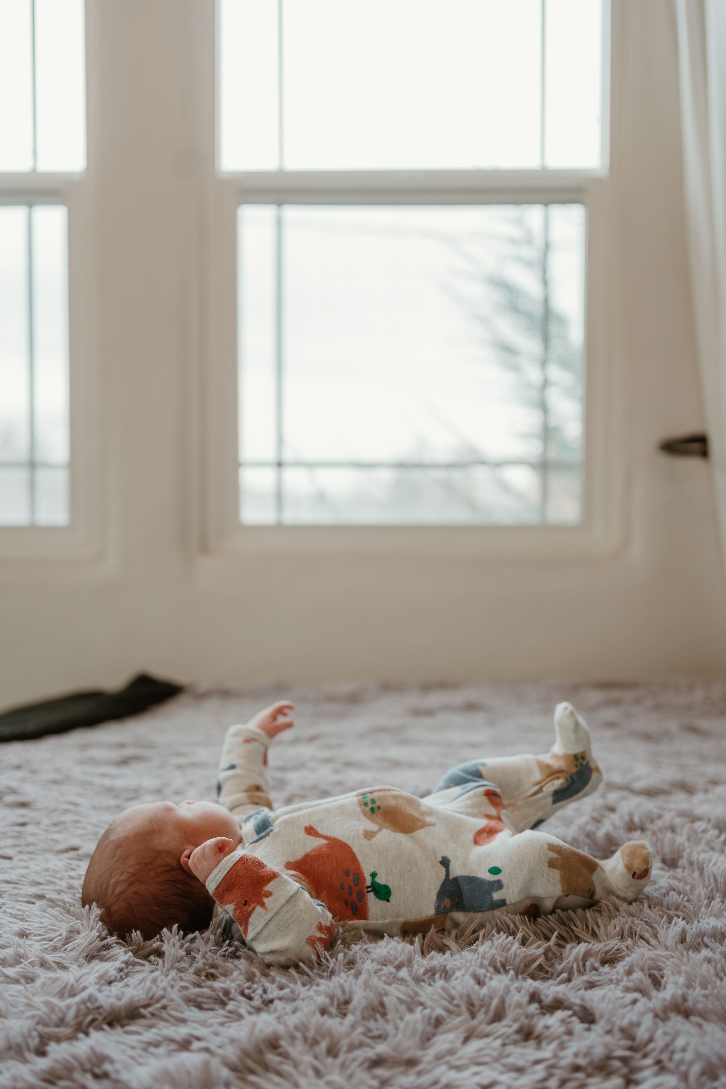 A newborn baby in a patterned onesie lying on a plush carpet near a bright window.