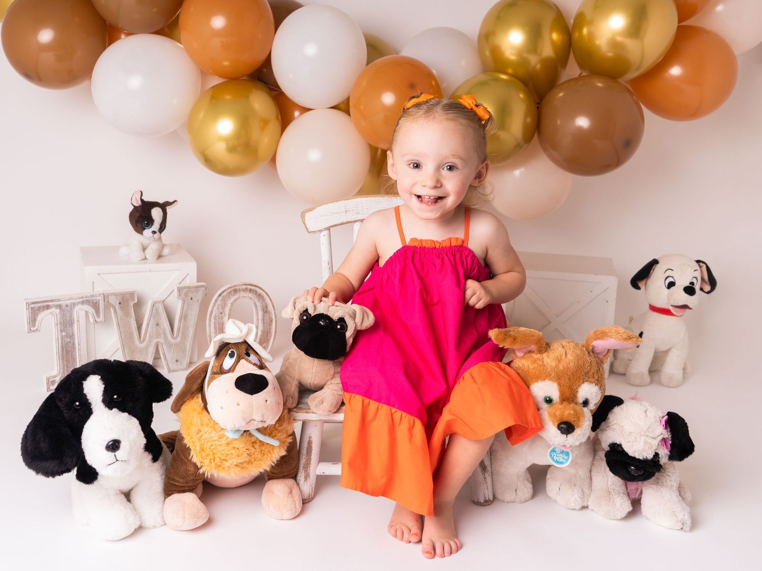 two year old birthday photo session with little girl surrounded by dogs with cake smash photographer in Doncaster.